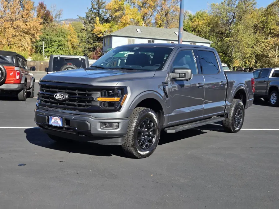 2026 Ford F-150 in Gray Metallic