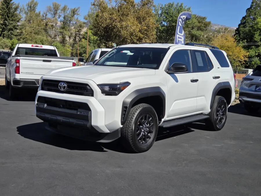 2025 Toyota 4Runner in Ice