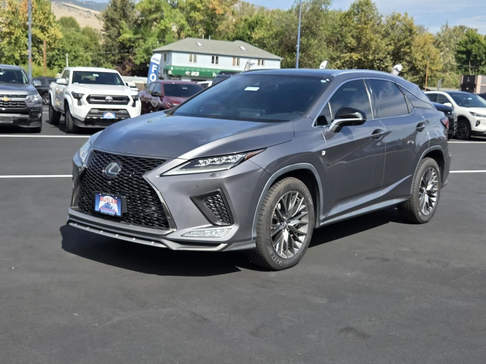 2020 Lexus RX RX 350 F SPORT Performance in Gray Pearl